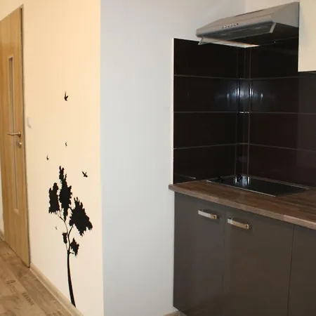 Apartment Apartmany City *